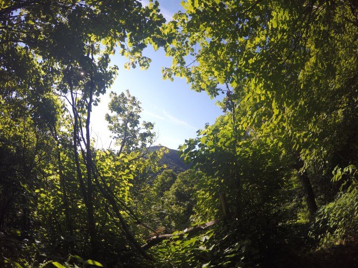 DCIM100GOPROGOPR0622.