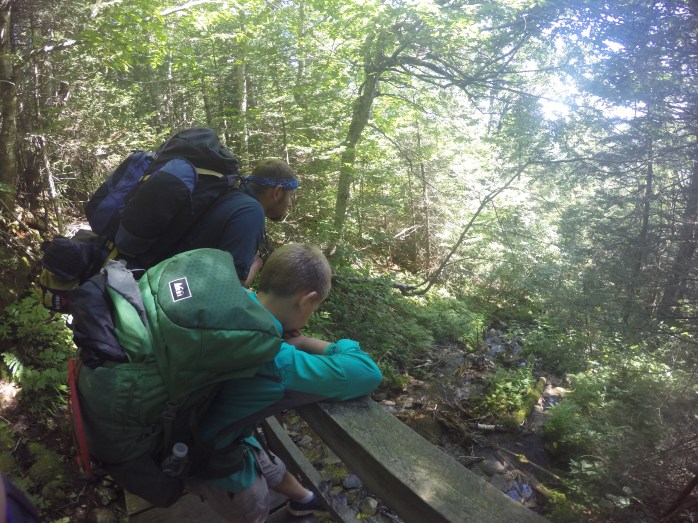 DCIM100GOPROGOPR0624.