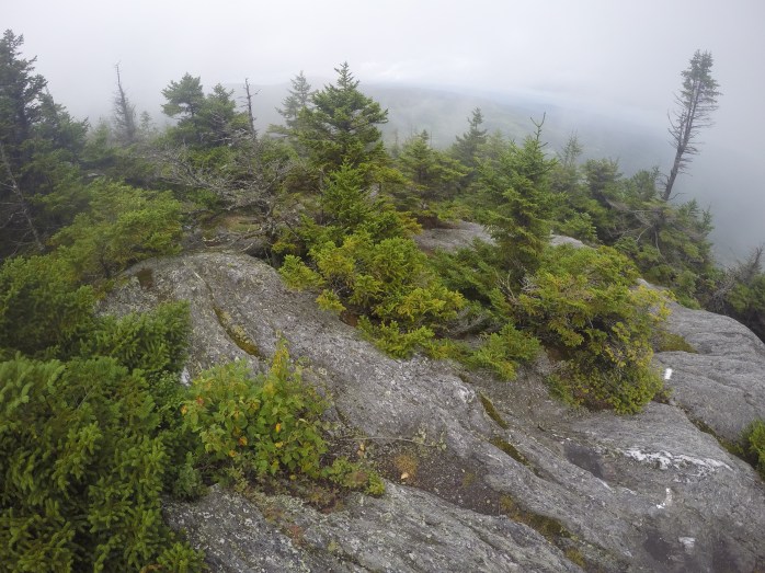 DCIM100GOPROGOPR0786.