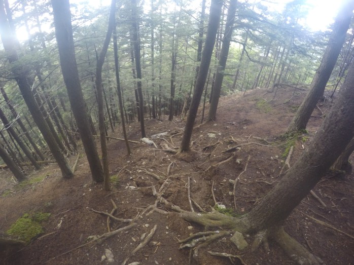 DCIM100GOPROGOPR0834.