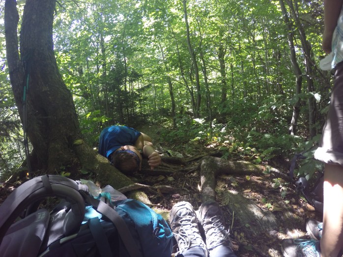 Family Mule is napping!