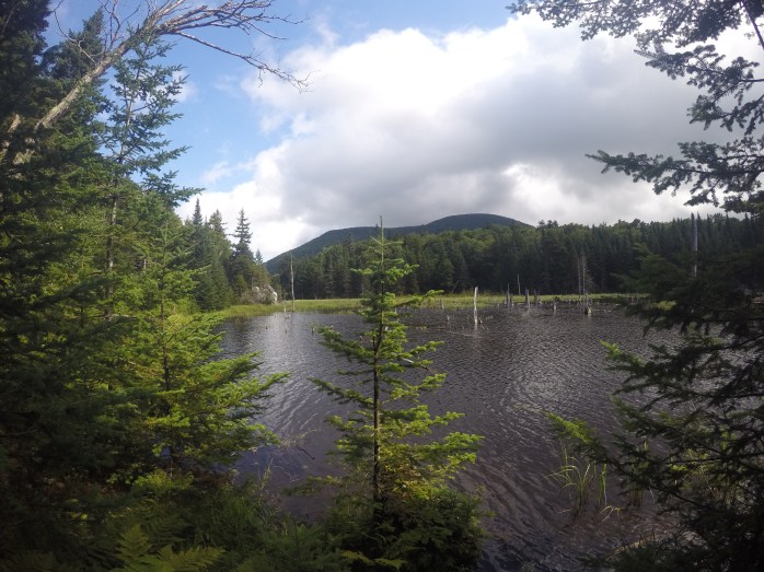 DCIM100GOPROGOPR0869.