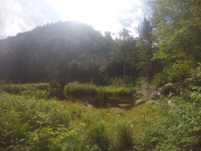 DCIM100GOPROGOPR0878.