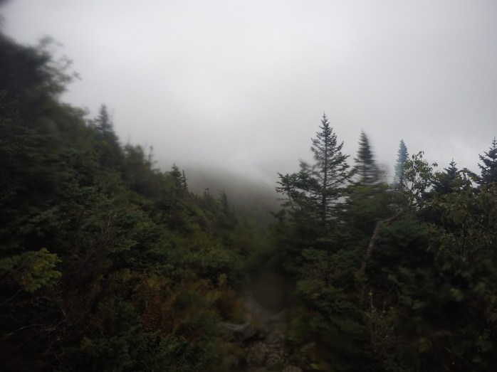 DCIM100GOPROGOPR0915.