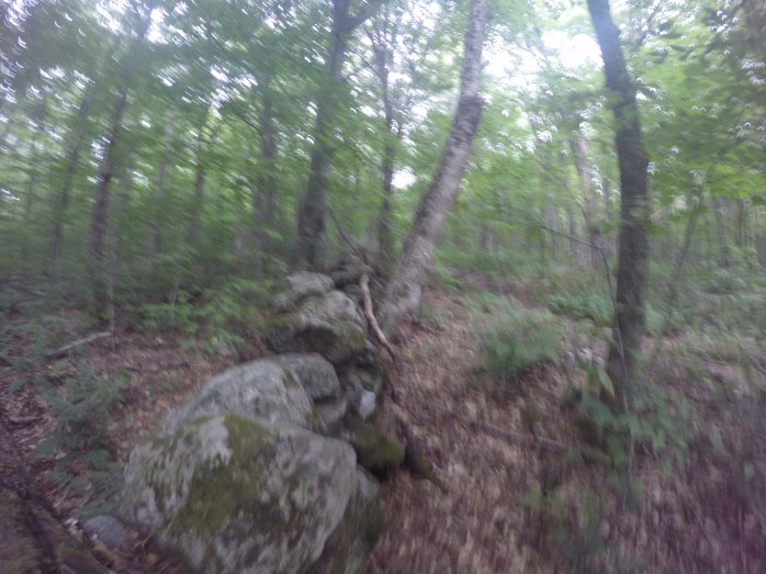 DCIM100GOPROGOPR0939.