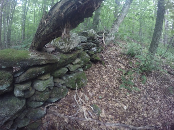 DCIM100GOPROGOPR0940.