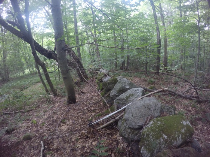 DCIM100GOPROGOPR0941.