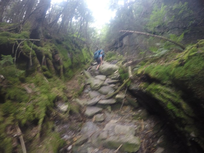 DCIM100GOPROGOPR0944.