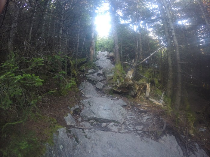 DCIM100GOPROGOPR0964.